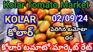 2-09-24|| today Tomato rate in Kolar market|| Kolar market tamatar rate today || today Tomato price