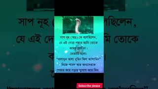 নুহ ( আ: )কে সাপ একটি দোয়া বলতে বলেছিল