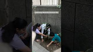 #shorts #viral #environment #2024 #nature #save #plants #tree #life #protection #bajaj #trending