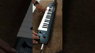 Yamaha Sonogenic SHS-500 Keytar  Demo || All Preset Sounds ☢️