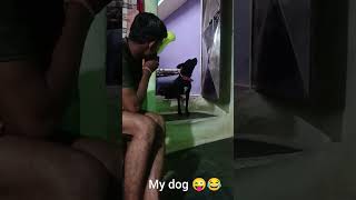 My dog funny video 😂😂#funny #comedy #dog #ytshortvideo