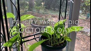 Felicity Yarn Studio Vlogtober Day 12