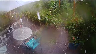 Intense Storm Knocked Down My Plants