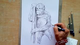 How to draw chimpanzee @chimpanzeedrawing