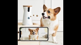 Best Dog Camera. Furbo Dog Camera: Treat Tossing, Full HD Wifi Pet Camera and 2-Way Audio,