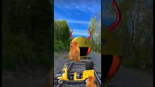 Pac-man2cat attack ak and firing & safe funny vfxmagic video#short#viral#cat#Pac-man2#trending#omvfx