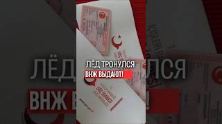 📣Инсайдерская информация — ВНЖ уже выдают! Как вам такие новости?