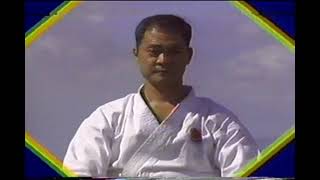 HEIAN SHO-DAN SHOTOKAN KATA ( demonstration and aplication  )