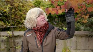 🍁 STIHL Autumn Garden Guide with Jane Moore | STIHL GB 🍁