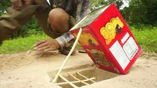 Build Underground Parrot Bird Trap Using Bottle