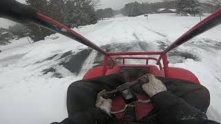 Honda Odyssey FL250 In The Snow