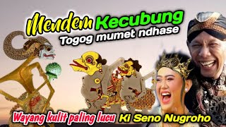 TOGOG MBILUNG BINGUNG..!!!  JANOKO MENDEM KECUBUNG