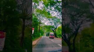 Country Roads : Road Trip Sigiriya - Dambulla Sri Lanka