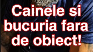 Pacea, linistea si fericirea fara de obiect. Exemplu: Cainele!