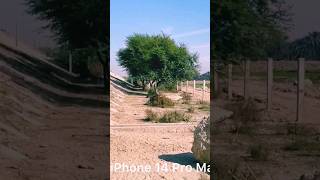 camera test: oneplus 11 vs iphone 14 pro max