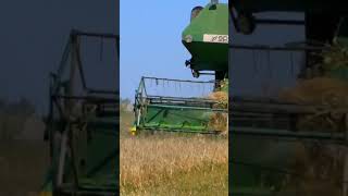 Unknown combine harvester harvesting