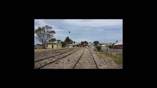 500 Class Diesel Locomotive On SteamRanger Cockle Train. #shorts #australiantrains #heritagerailway