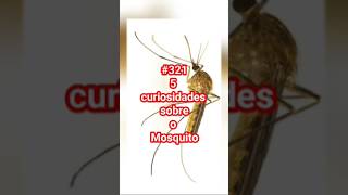 #321 5 curiosidades sobre o Mosquito #luke5curiosidades #shortvideos#mosquito