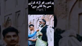 Parindon Ko Azad Krne Sy Bala Talti Hai? Part 1 #trending #shorts #youtubeshorts