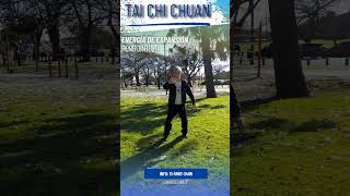 Peng Jin: la Energía principal del Tai Chi Chuan