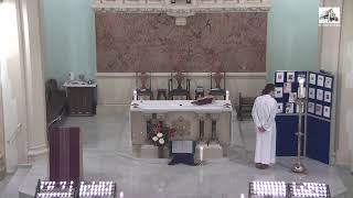 St. Peter livestream