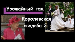 Королевская свадьба 3 : королева выдала замуж племянницу