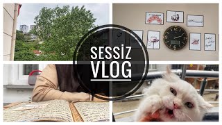 SESSIZ VLOG | GUNLUK RUTIN | DUZEN ✅