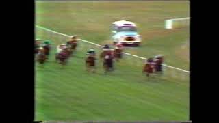 1977 MANAWATU BREEDER'S STAKES - LA MER