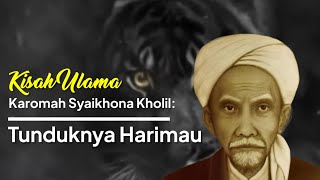 Karomah Syaikhona Kholil: Menundukkan harimau