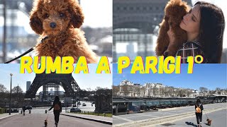 PORTIAMO RUMBA A PARIGI! METROPOLITANA,TOUR EIFFEL,SENNA,TROCADERO. FACCIAMO UN GIRO INSIEME! #vlog