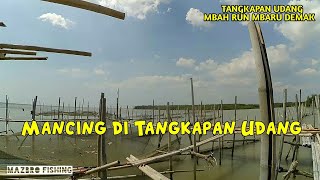 Explore Mancing di Rumpon Tangkapan Udang Mbah Run