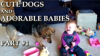 Cute Dogs and Adorable and Funny Babies - Top Best Compilation