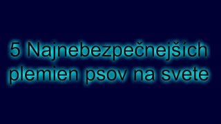 🐺❗5 najnebezpečnejších psov❗🐺