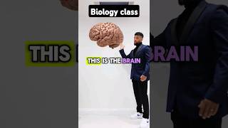 GCSE Biology - Brain Rap