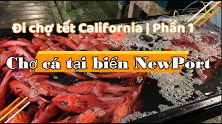 Đi chợ tết California | Phần 1| Chợ cá tại biển NewPort  | Dung Võ Vàm Cỏ