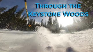 A Burst Through the Keystone Woods