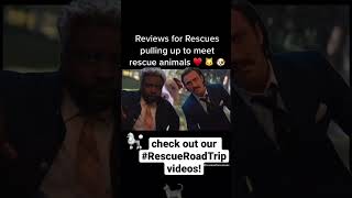 Which animal rescue should we visit next?