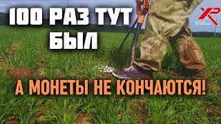 ВОЛШЕБНОЕ ПОЛЕ НЕ ПЕРЕСТАЕТ УДИВЛЯТЬ! Коп монет новое с XP ORX