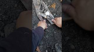 Bushcraft Fire #Subscribe #Bushcraft #Outdoors #Nature #Shorts #Camping #Fishing #Hiking #Alaska