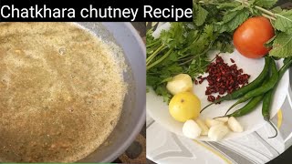 Chatkhara Chutney Recipe | Podina ki chutney|Chutney Banane Ka Tarika |