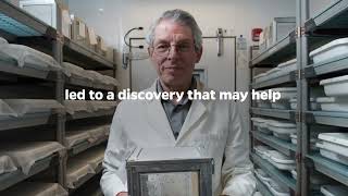 An Accidental Discovery | Marcelo Jacobs-Lorena