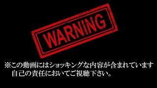 「フォートナイト」ついにやってきます…「閲覧注意！」