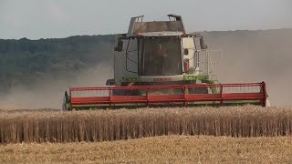 Žatva / Harvest / Żniwa 2021/spomienka