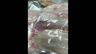 Fluke sashimi grade - The Culinary Institute of America New York Campus Vlog