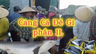 5 Giờ Sáng Tại Cảng Cá: Phần 2 - Cảnh Buôn Bán Nhộn Nhịp #fishmarket