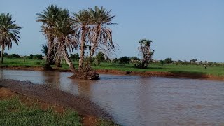 تفهيم المشاركين للقناة أستمع لها كاملة