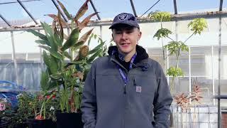 Employability Skills with Horticulture at Plumpton College