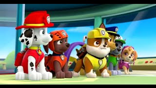 Щенячий патруль - Бухта. Paw Patrol Rescue Run! - The Bay Мультик (ИГРА).