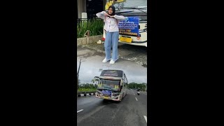 cinematic bus BSI Trans SULTAN GRESIK + ADA MODEL #shorts