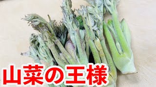 【山菜下処理】タラの芽下処理と天ぷら